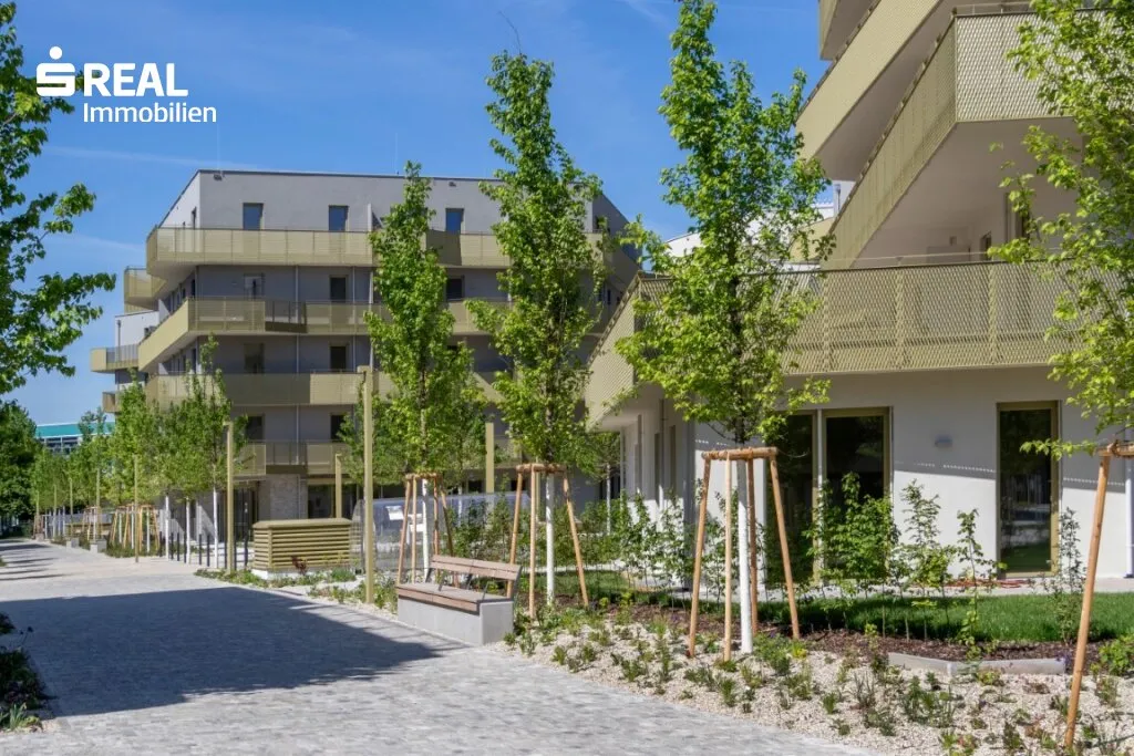 Apartment in Wien, Großjedlersdorf, Katastralgemeinde Großjedlersdorf I - Ansicht 3