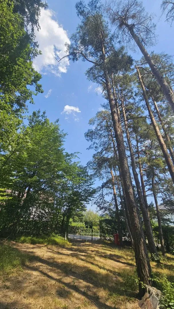 Großzügiges Baugrundstück - Bauklasse I und II (Bauträgerprojekt mit mehreren Wohneinheiten, Reihenhäuser, Villa mit parkähnlichem Garten) - Ansicht 3