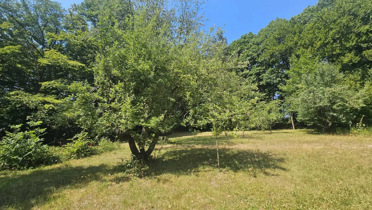 Großzügiges Baugrundstück - Bauklasse I und II (Bauträgerprojekt mit mehreren Wohneinheiten, Reihenhäuser, Villa mit parkähnlichem Garten) - Ansicht 2