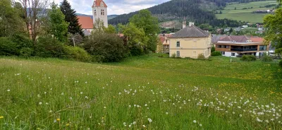 Grundstück kaufen in Murau – 2 636 m² – Bild 2 von 5