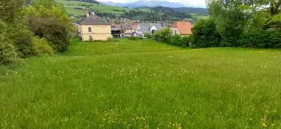 Grundstück kaufen in Murau – 2 636 m² – Bild 3 von 5