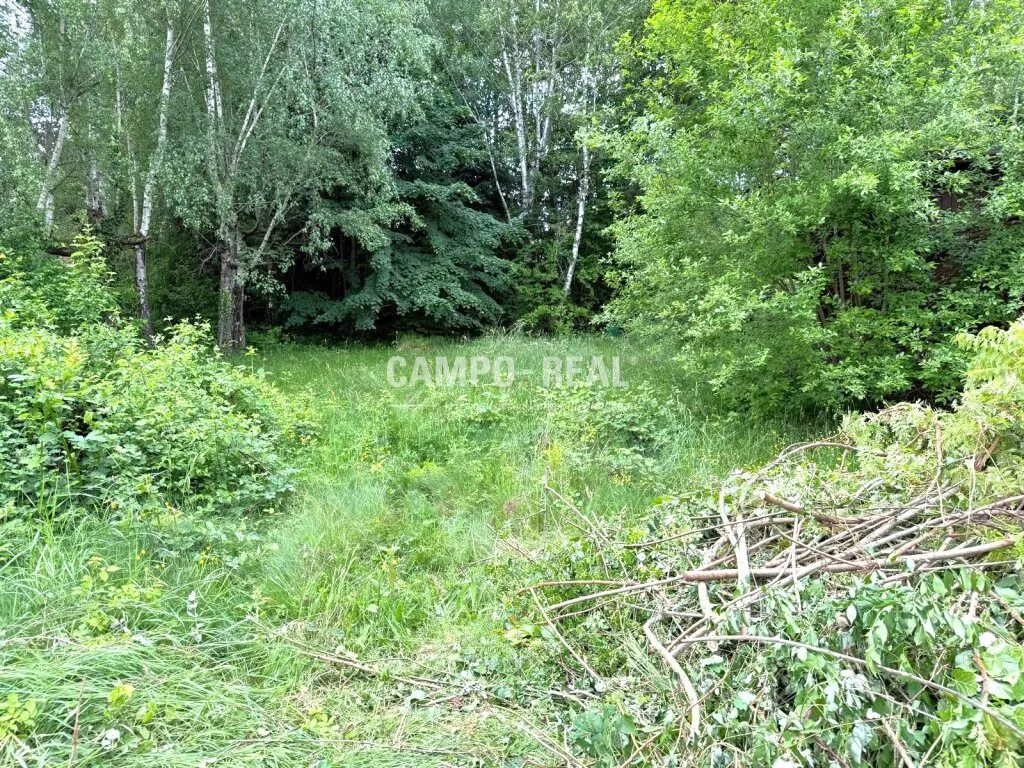 CAMPO-BAUGRUND: Großer, sonniger Baugrund in bester Eichgrabener Lage - Ansicht 3