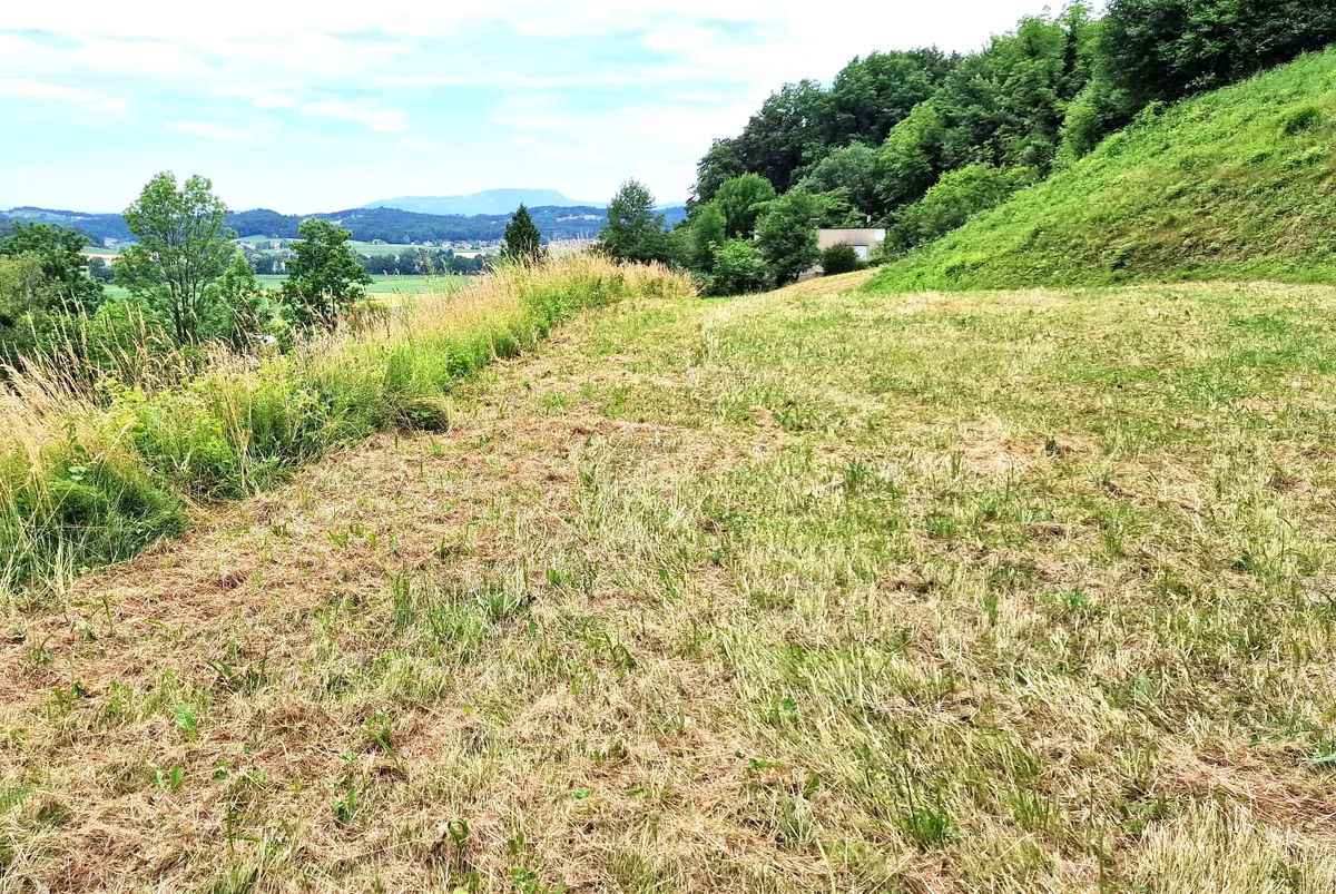 Traum Baugrund mit Planung, Träume werden wahr. - Ansicht 3