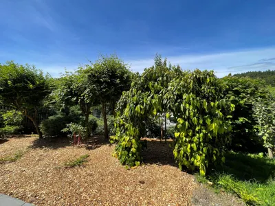2-Zimmer-Wohnung mieten in Graz-Umgebung – 85 m², € 983 – Bild 17 von 21