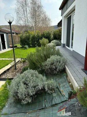 Haus kaufen in Mattersburg – 92 m², € 588.000 – Bild 7 von 19