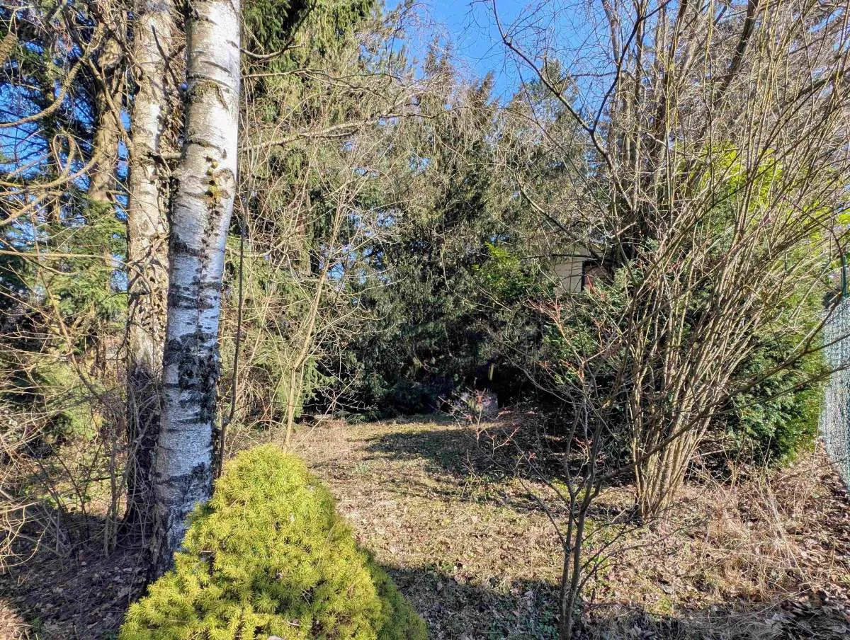 Baugrund in Waldrandlage nur ca.15 km westlich von Wien - Ansicht 3