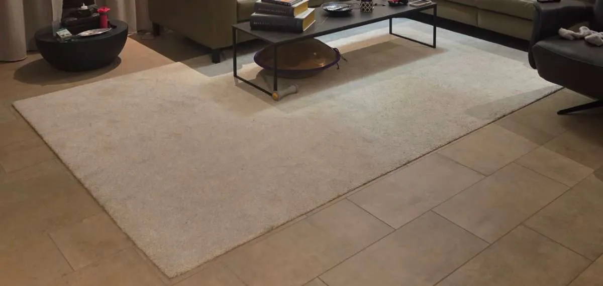 NEUER PREIS stoense ikea - teppich kurzflor 200x300, € 55,- (2345 Brunn am Gebirge)