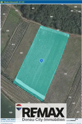 Immobilie kaufen in Korneuburg – 76 333 m² – Bild 6 von 10