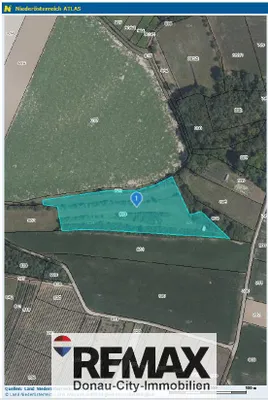 Immobilie kaufen in Korneuburg – 76 333 m² – Bild 7 von 10