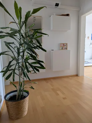 Haus kaufen in Graz – 114 m², € 545.000 – Bild 11 von 19