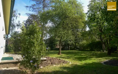 10-Zimmer-Haus kaufen in Tulln – 295 m², € 1.590.000 – Bild 5 von 18