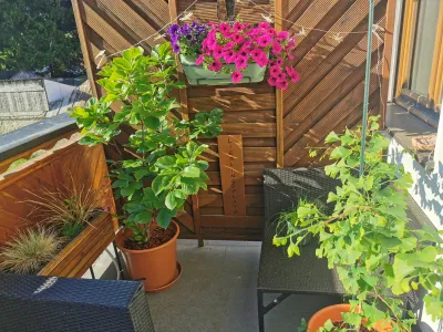 4-Zimmer-Wohnung mieten in Gänserndorf – 104 m², € 890 – Bild 20 von 20