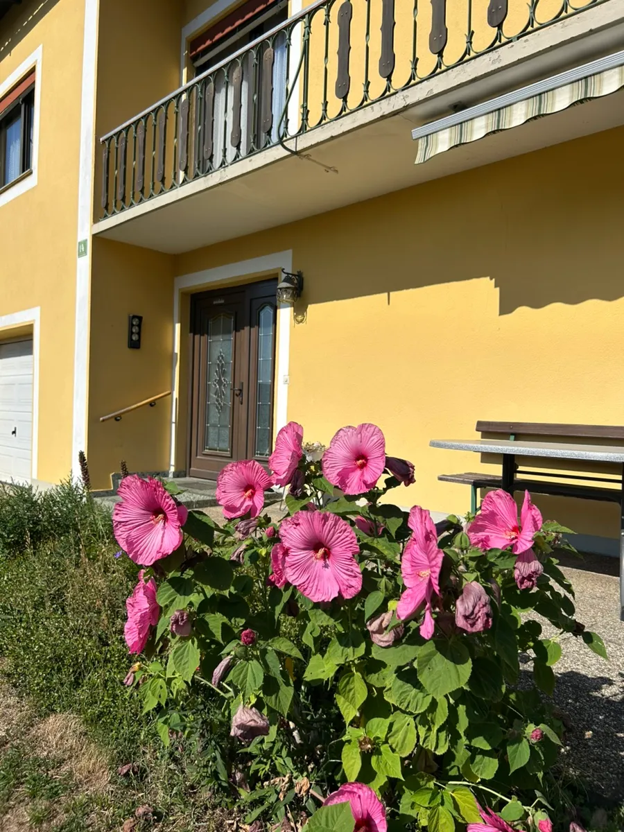 Haus – Leibnitz, Seggauberg - Ansicht 2