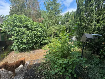 3-Zimmer-Haus kaufen in Sankt Pölten Land – 130 m², € 165.000 – Bild 2 von 22