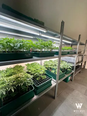 Gewerbeimmobilie mieten in Wien – 80 m², € 798 – Bild 3 von 5