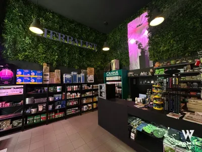 Gewerbeimmobilie mieten in Wien – 80 m², € 798 – Bild 1 von 5