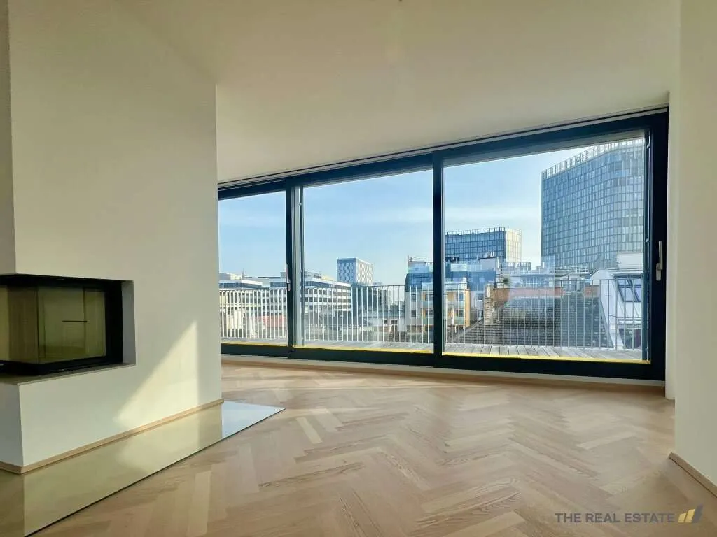 Traum Penthouse mit großen Terrassen und Fernblick - Visning 3