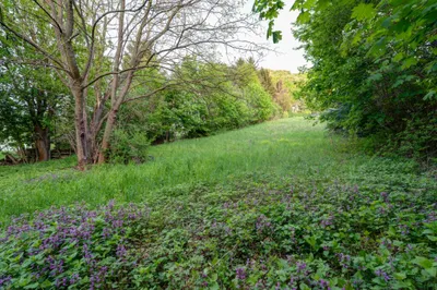 Grundstück kaufen in Bruck an der Leitha – 852 m², € 325.000 – Bild 10 von 11