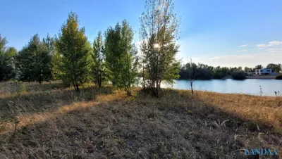 Grundstück kaufen in Neusiedl am See – 408 m², € 260.000 – Bild 6 von 8
