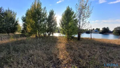 Grundstück kaufen in Neusiedl am See – 408 m², € 260.000 – Bild 7 von 8