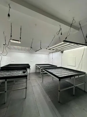 Gewerbeimmobilie kaufen in Wien – 90 m², € 49.000 – Bild 3 von 5