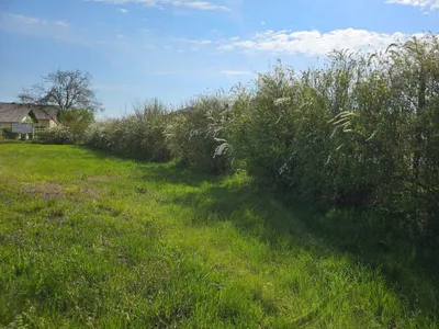 Grundstück kaufen in Braunau am Inn – 596 m², € 98.340 – Bild 6 von 7