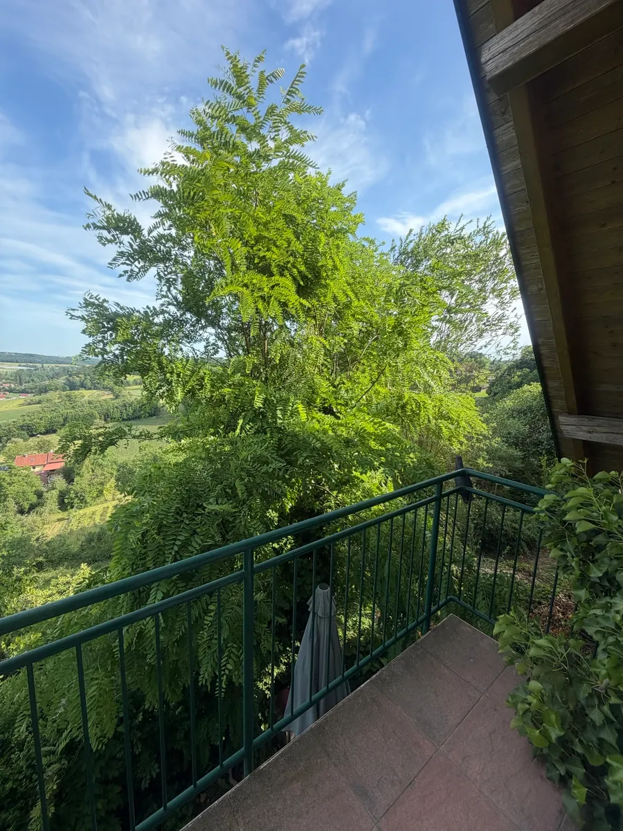Haus – Straden - Ansicht 3