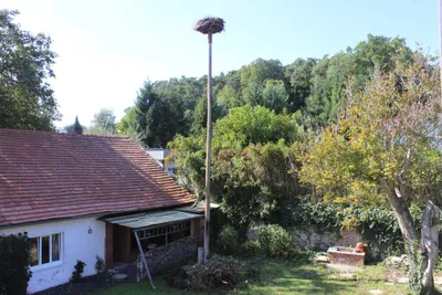 6-Zimmer-Haus kaufen in Oberwart – 240 m², € 280.000 – Bild 6 von 19