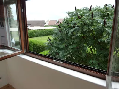 2-Zimmer-Wohnung mieten in Leibnitz – 75 m², € 740 – Bild 5 von 16