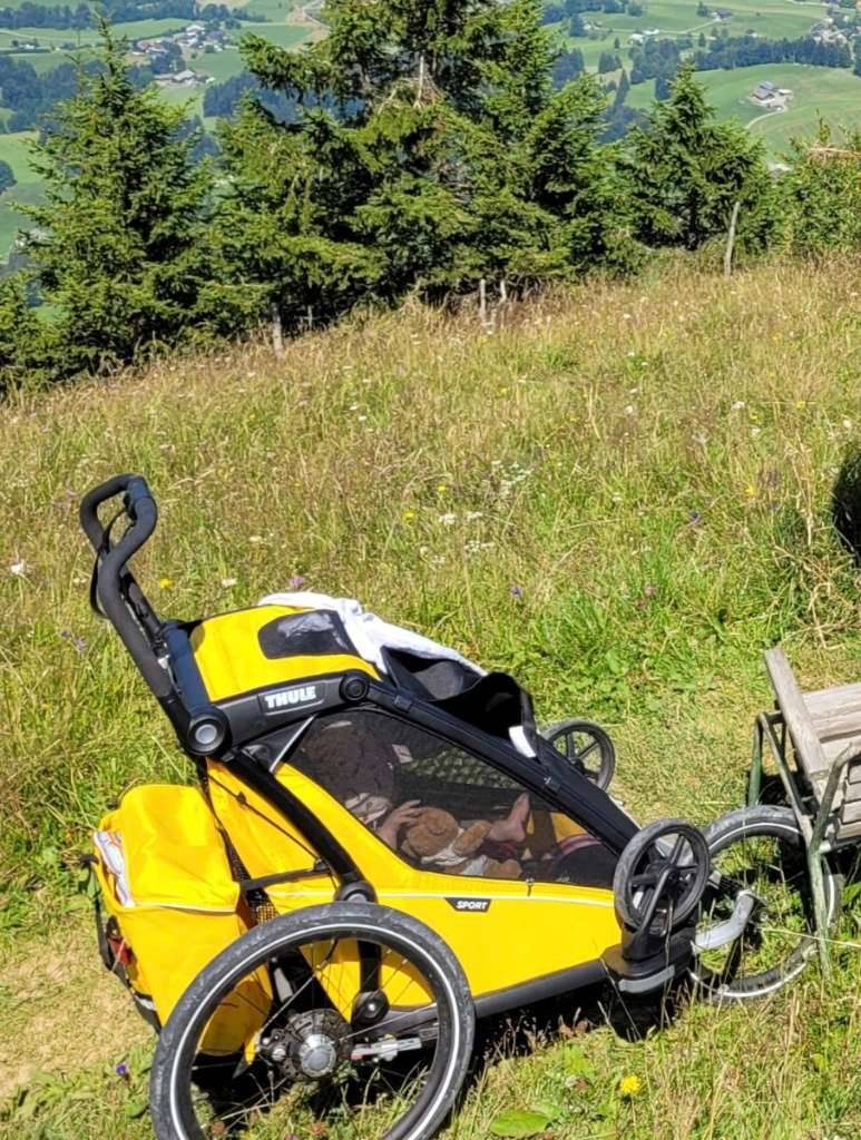 THULE Chariot Sport 2 double Geschwisterwagen Multisport-Fahrradanhnger -  auch fr Zwillinge,  989,- (1070 Wien) - willhaben