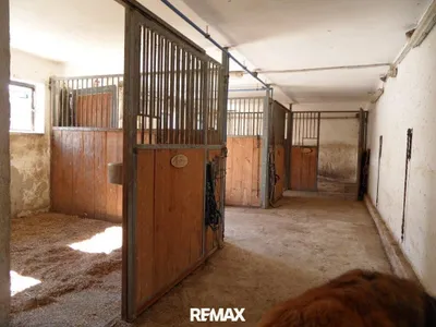 Immobilie kaufen in Baden – 6 876 m² – Bild 8 von 23