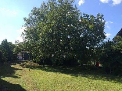 Grundstück kaufen in Mattersburg – 1 225 m², € 179.000 – Bild 1 von 3