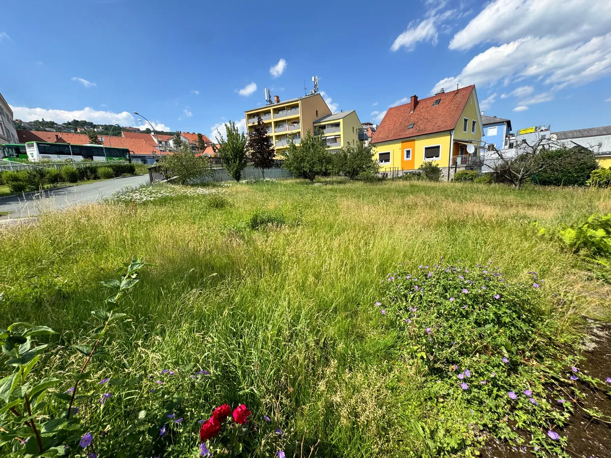 Exklusives Baugrundstück in zentraler Lage - ca. 725 m² in Hartberg - Ansicht 3