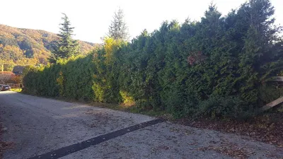 Grundstück kaufen in Melk – 802 m², € 95.000 – Bild 6 von 10