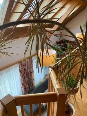 4-Zimmer-Immobilie kaufen in Deutschlandsberg – 237 m², € 449.000 – Bild 6 von 23
