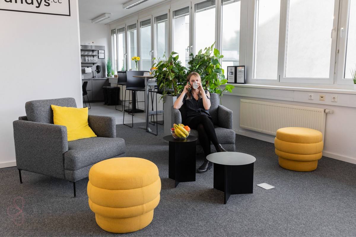 Attraktives Coworking- & Office-Konzept mit 300 m² im Süden Wiens - ideale Lage für KMU & Startups – pohled 3