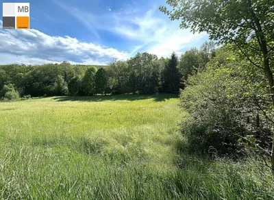Grundstück kaufen in Baden – 916 m², € 250.000 – Bild 4 von 7
