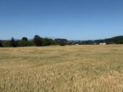 Grundstück kaufen in Wiener Neustadt Land – 1 005 m², € 320.000 – Bild 2 von 6