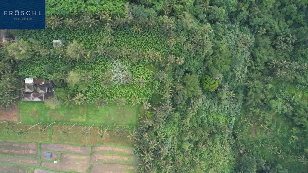 Ubud, Bali, Indonesia - Approx. 6,054 m² for Visionaries - Rare Freehold Development Land with Tourism Zoning - Ansicht 3
