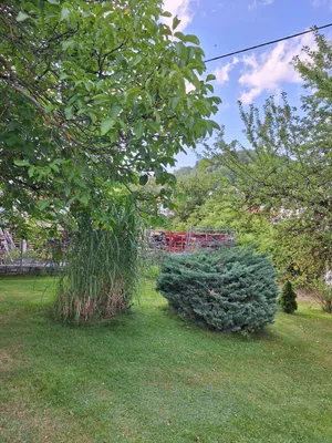 8-Zimmer-Haus kaufen in Rohrbach – 180 m², € 285.000 – Bild 25 von 29