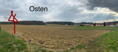 Grundstück kaufen in Südoststeiermark – 805 m², € 64.000 – Bild 3 von 8