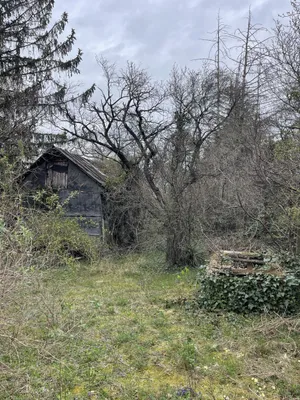 Grundstück kaufen in Mödling – 1 257 m² – Bild 25 von 31
