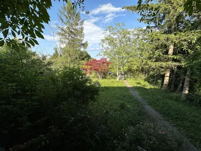 Grundstück kaufen in Mödling – 1 257 m² – Bild 7 von 31