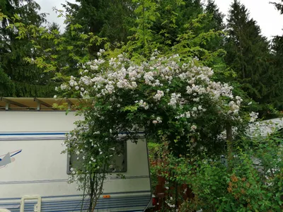 Immobilie kaufen in Lilienfeld – 26 m², € 7.500 – Bild 29 von 39
