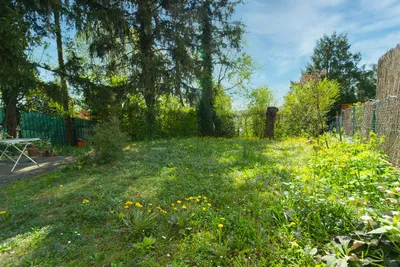 4-Zimmer-Haus kaufen in Wien – 100 m², € 539.000 – Bild 20 von 37