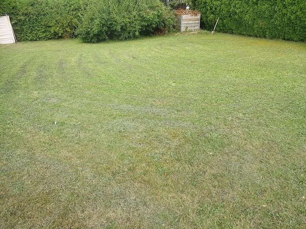 Älterer Bungalow mit schönem Grundstück in Mattighofen - Widok 2
