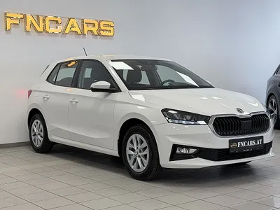 Skoda Fabia Ambition 1,0 // LED // CarPlay // PDC //