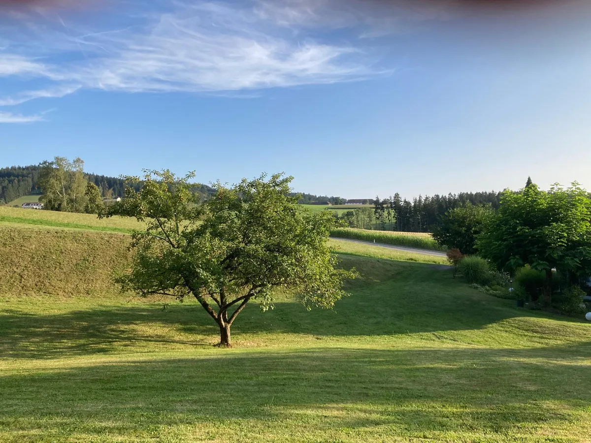 Sonniges Baugrundstück in bester Zentrumslage von Eidenberg - mit Bauplatzbewilligung und Entwicklungspotenzial!