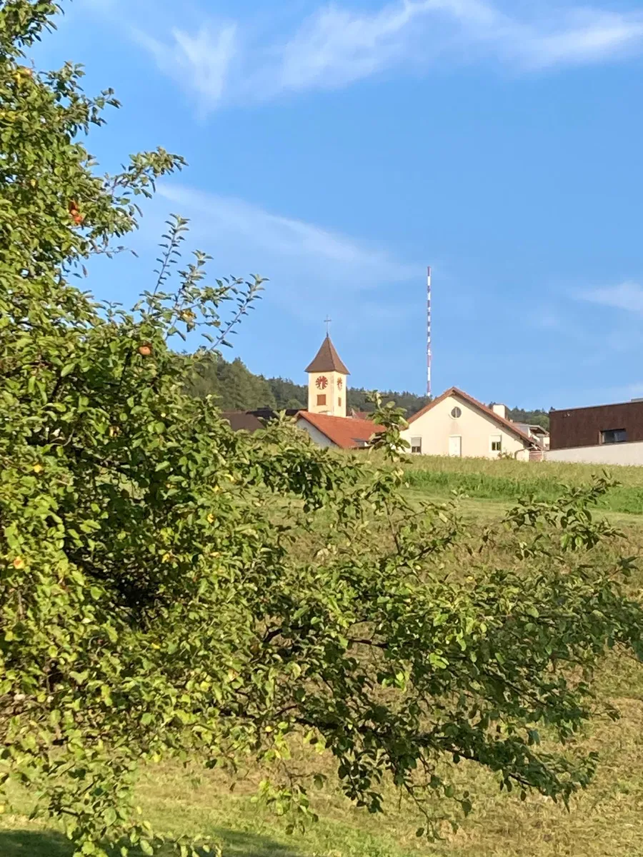 Sonniges Baugrundstück in bester Zentrumslage von Eidenberg - mit Bauplatzbewilligung und Entwicklungspotenzial! - Ansicht 3