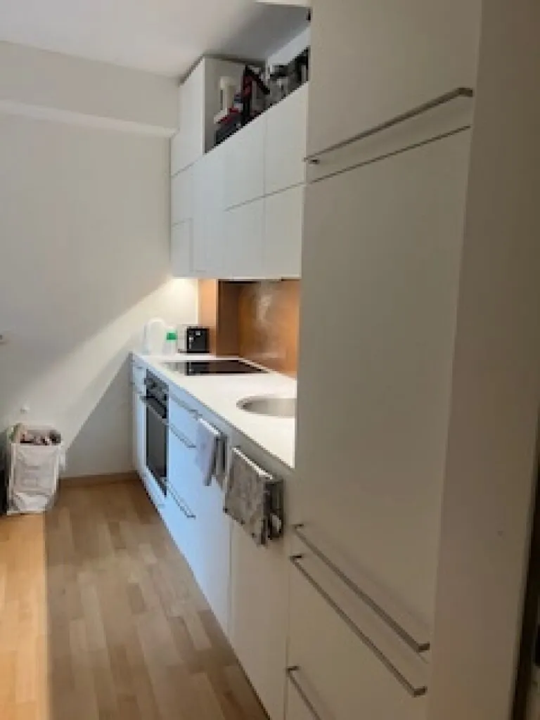 Wohnung – Graz, Katastralgemeinde Innere Stadt, Innere Stadt - Ansicht 2